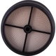 Purchase Top-Quality Air Filter by ECOGARD - XA5638 pa6