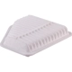 Purchase Top-Quality Air Filter by ECOGARD - XA5650 pa2