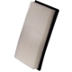 Purchase Top-Quality ECOGARD - XA5699 - Air Filter pa2