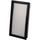 Purchase Top-Quality ECOGARD - XA5699 - Air Filter pa5