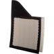 Purchase Top-Quality ECOGARD - XA5907 - Air Filter pa2