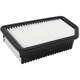 Purchase Top-Quality ECOGARD - XA6094 - Air Filter pa1