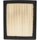 Purchase Top-Quality ECOGARD - XA6114 - Air Filter pa6