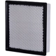 Purchase Top-Quality ECOGARD - XA6116 - Air Filter pa2