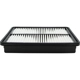 Purchase Top-Quality Air Filter by ECOGARD - XA6124 pa4