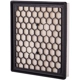 Purchase Top-Quality ECOGARD - XA6130 - Air Filter pa2