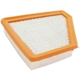 Purchase Top-Quality ECOGARD - XA6131 - Air Filter pa2