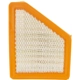 Purchase Top-Quality ECOGARD - XA6131 - Air Filter pa5