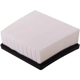 Purchase Top-Quality ECOGARD - XA6140 - Air Filter pa4