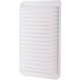 Purchase Top-Quality ECOGARD - XA6144 - Air Filter pa2