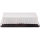 Purchase Top-Quality Air Filter by ECOGARD - XA6169 pa2