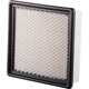 Purchase Top-Quality Air Filter by ECOGARD - XA6169 pa5