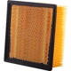 Purchase Top-Quality Air Filter by ECOGARD - XA6314 pa5