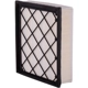 Purchase Top-Quality ECOGARD - XA7492 - Air Filter pa3