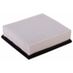 Purchase Top-Quality ECOGARD - XA7492 - Air Filter pa4