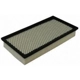 Purchase Top-Quality Air Filter by ECOGARD - XA5301 pa1