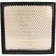 Purchase Top-Quality Air Filter by ECOGARD - XA6151 pa4