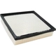 Purchase Top-Quality Air Filter by ECOGARD - XA6151 pa5