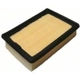 Purchase Top-Quality Air Filter by ECOGARD - XA6199 pa1