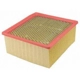 Purchase Top-Quality Air Filter by ECOGARD - XA6314 pa1