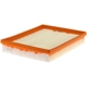 Purchase Top-Quality FRAM - CA10191 - Air Filter pa5