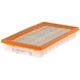 Purchase Top-Quality FRAM - CA10234 - Air Filter pa5