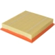 Purchase Top-Quality FRAM - CA10262 - Air Filter pa10