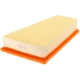 Purchase Top-Quality FRAM - CA11411 - Guard Air Filter pa3