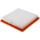 Purchase Top-Quality FRAM - CA12064 - AIR FILTER pa2