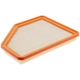 Purchase Top-Quality FRAM - CA12087 - AIR FILTER pa3