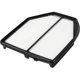 Purchase Top-Quality FRAM - CA12089 - AIR FILTER pa2