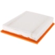 Purchase Top-Quality FRAM - CA12258 - AIR FILTER pa2