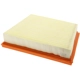 Purchase Top-Quality FRAM - CA12292 - AIR FILTER pa2