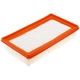 Purchase Top-Quality FRAM - CA12296 - AIR FILTER pa3