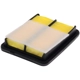 Purchase Top-Quality FRAM - CA12315 - AIR FILTER pa2