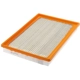 Purchase Top-Quality FRAM - CA12375 - AIR FILTER pa3