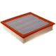 Purchase Top-Quality FRAM - CA12666 - AIR FILTER pa3