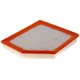 Purchase Top-Quality FRAM - CA12961 - AIR FILTER pa2