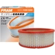 Purchase Top-Quality FRAM - CA148 - Air Filter pa4