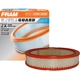 Purchase Top-Quality FRAM - CA189 - Air Filter pa3