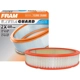 Purchase Top-Quality FRAM - CA324A - Air Filter pa5