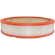 Purchase Top-Quality FRAM - CA324A - Air Filter pa6