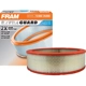 Purchase Top-Quality FRAM - CA326 - Air Filter pa2