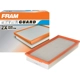 Purchase Top-Quality FRAM - CA8602 - Air Filter pa8