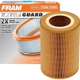 Purchase Top-Quality FRAM - CA9429 - Air Filter pa5