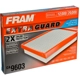 Purchase Top-Quality FRAM - CA9603 - Air Filter pa7