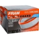Purchase Top-Quality FRAM - CA10161 - Air Filter pa3