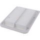 Purchase Top-Quality FRAM - CA10190 - Air Filter pa2