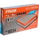 Purchase Top-Quality FRAM - CA10234 - Air Filter pa3