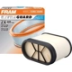 Purchase Top-Quality Air Filter by FRAM - CA10270 pa2